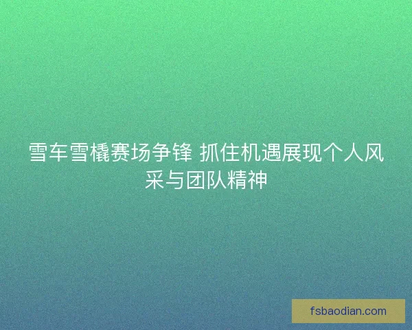 雪车雪橇赛场争锋 抓住机遇展现个人风采与团队精神