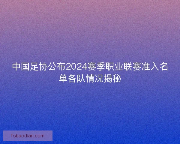中国足协公布2024赛季职业联赛准入名单各队情况揭秘